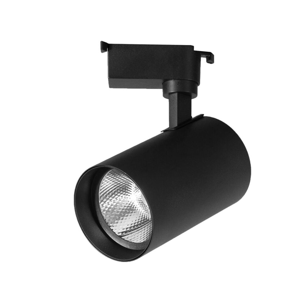 LED Spot YL29-3102 30W Günışığı