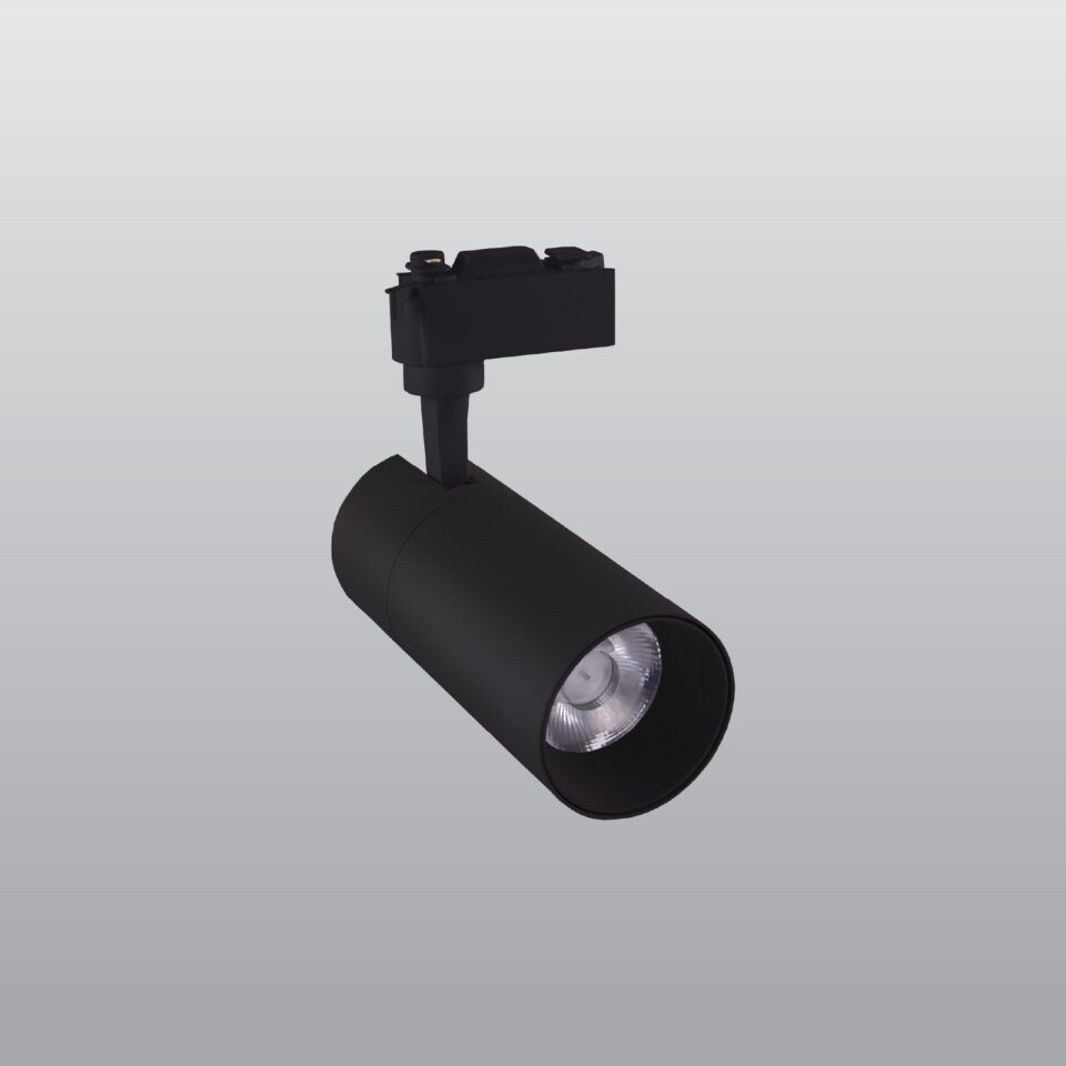 ACK 10W Alüminyum LED Ray Spot Armatür Siyah 6500K - AD30-01031 - ürün görseli